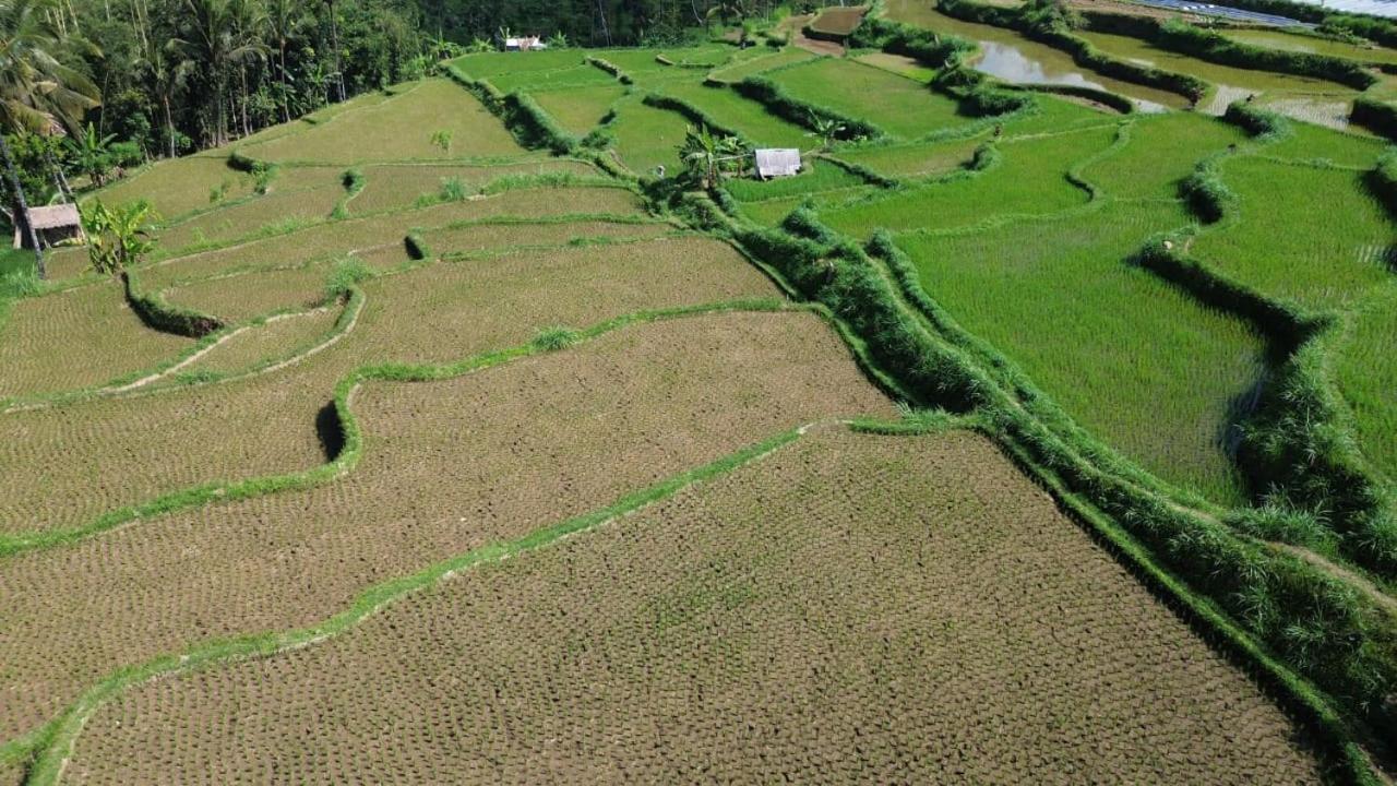 Banana Bungalows Tetebatu Kültér fotó