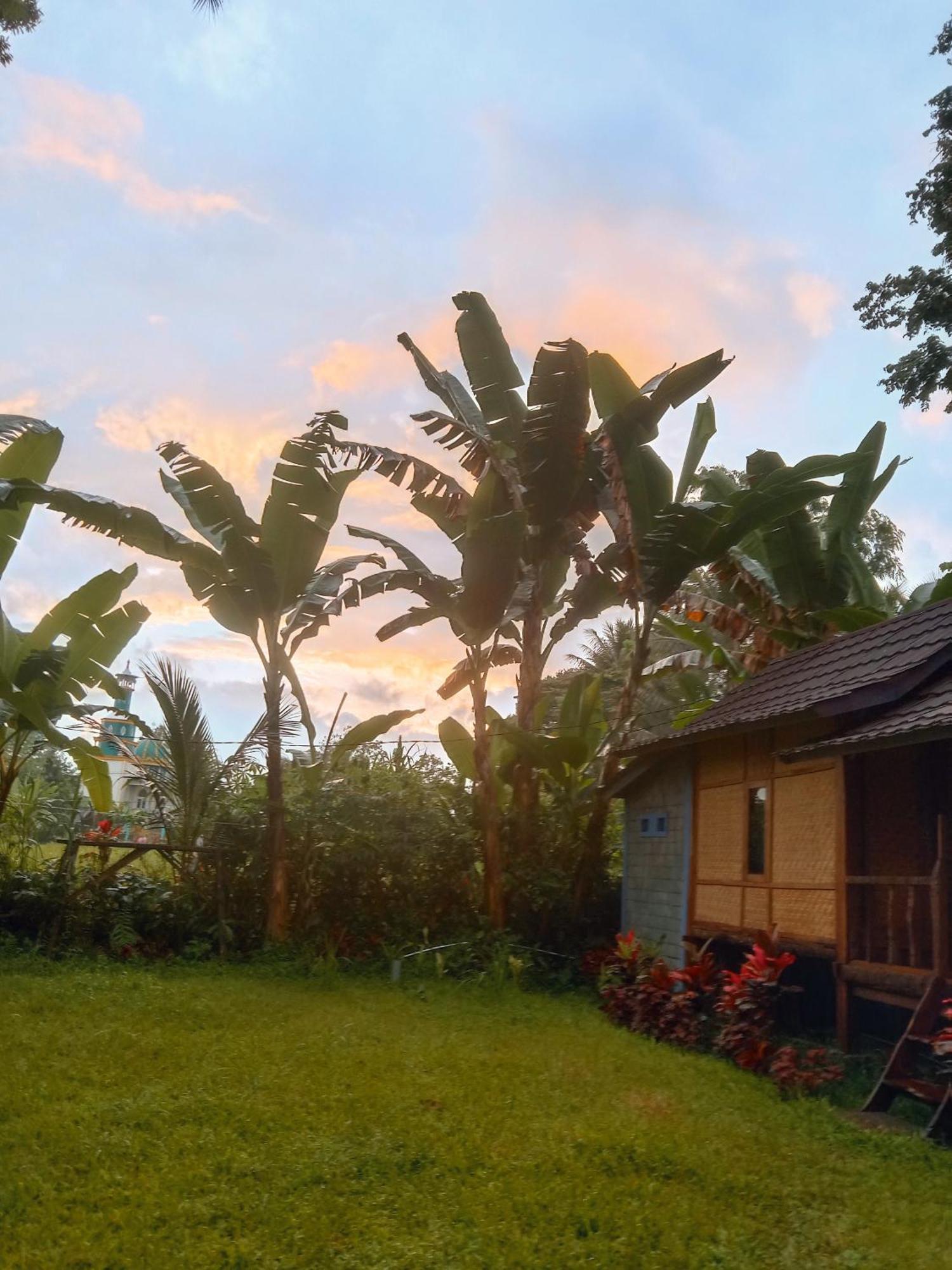 Banana Bungalows Tetebatu Szoba fotó